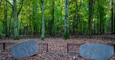Na zdjęciu las pamięci, widać miejsce w lesie otoczone płotem