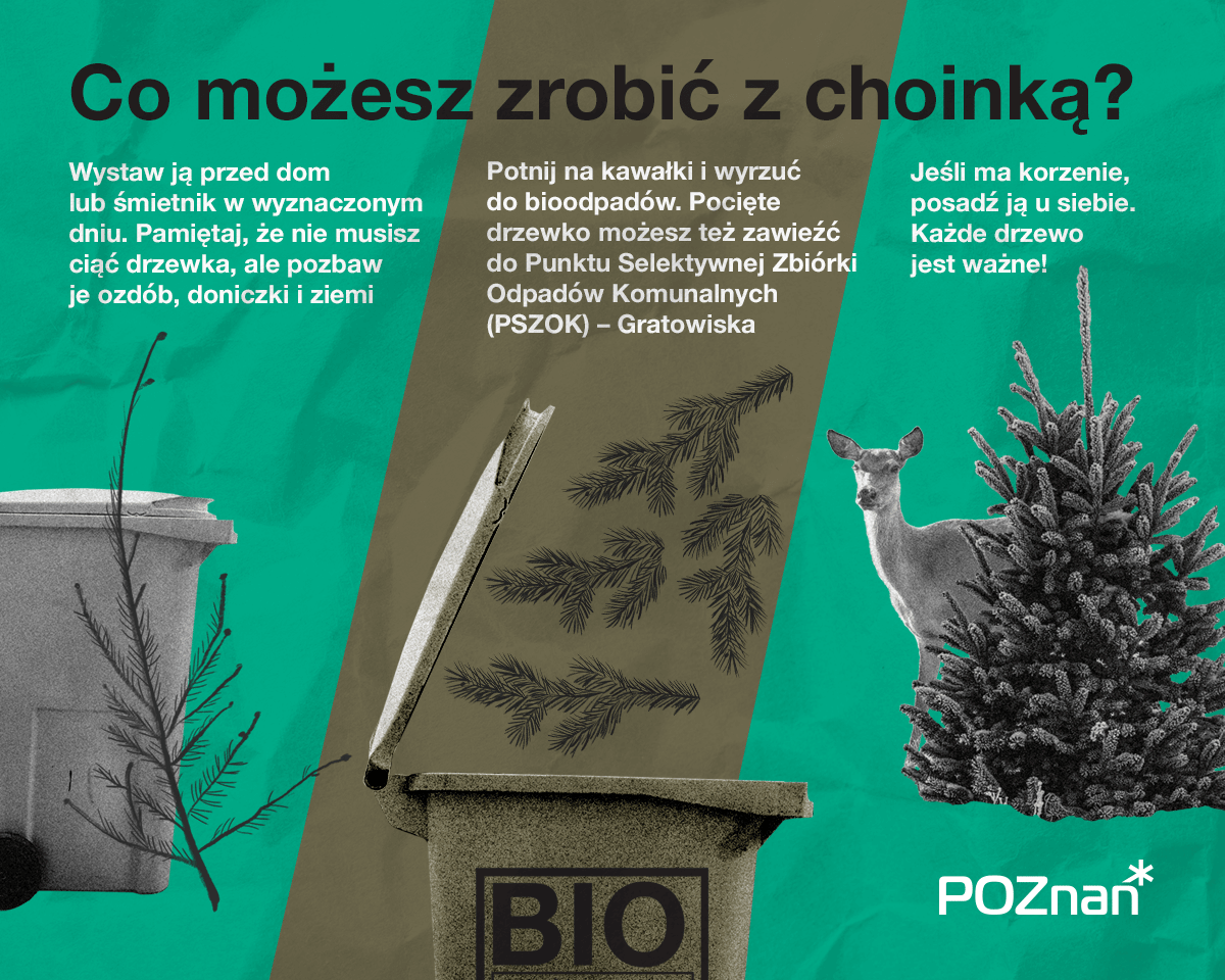 Odbiór choinki - grafika artykułu