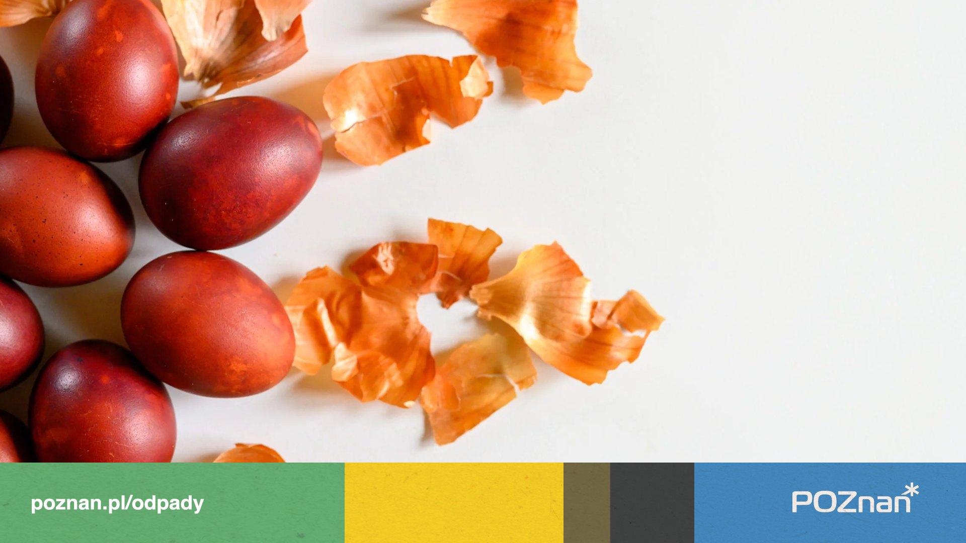 Ekojajka - grafika artykułu