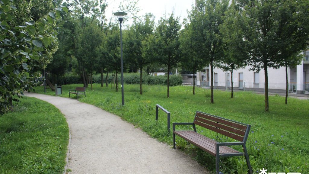 Park Astronomiczny Jana Heweliusza - sierpień 2025