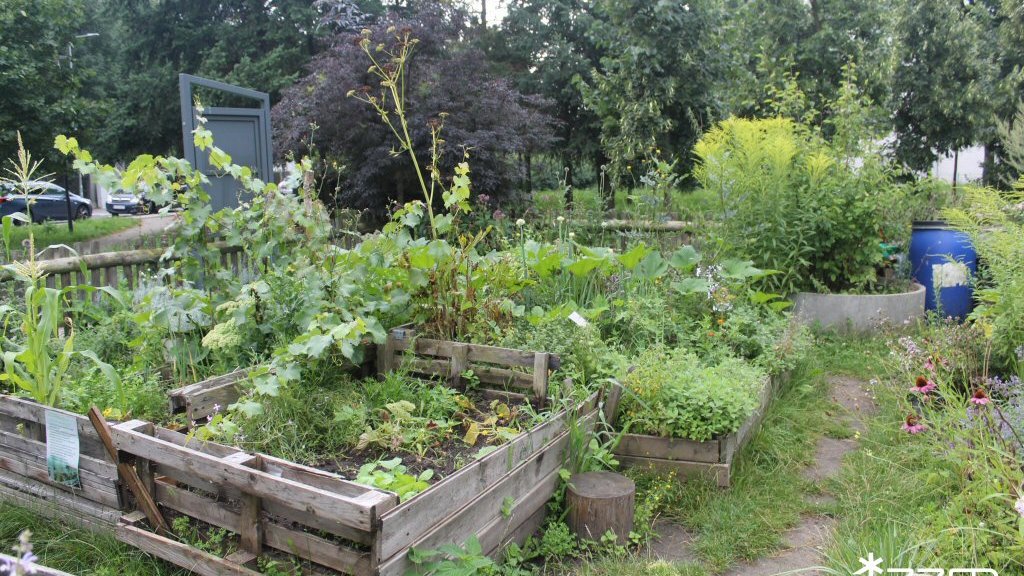 Park Astronomiczny Jana Heweliusza - sierpień 2025