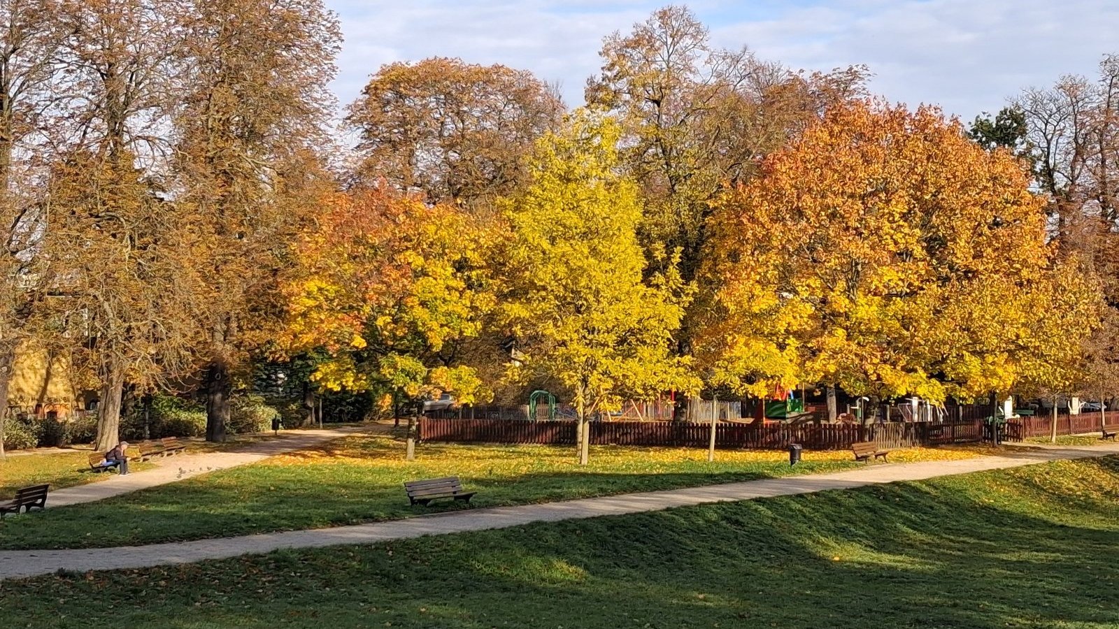 Park Wieniawskiego obecnie