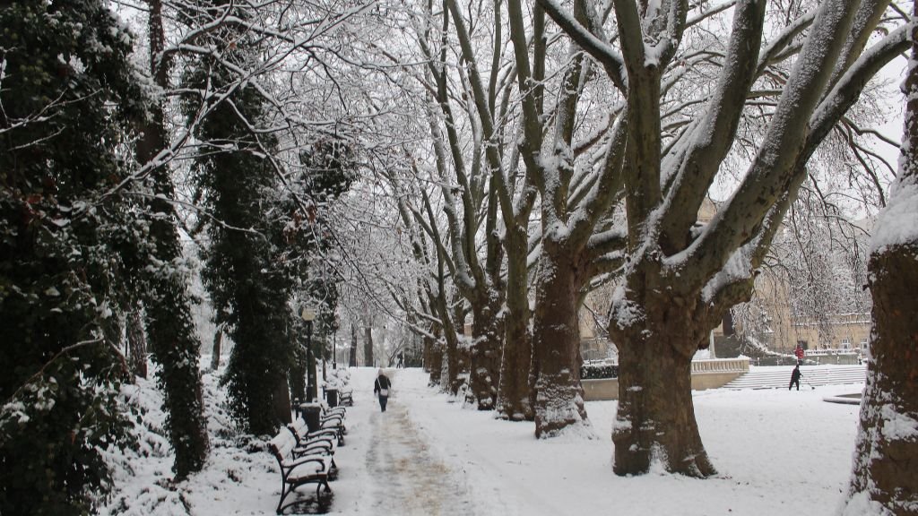 Zima w Parku Adama Mickiewicza w centrum Poznania