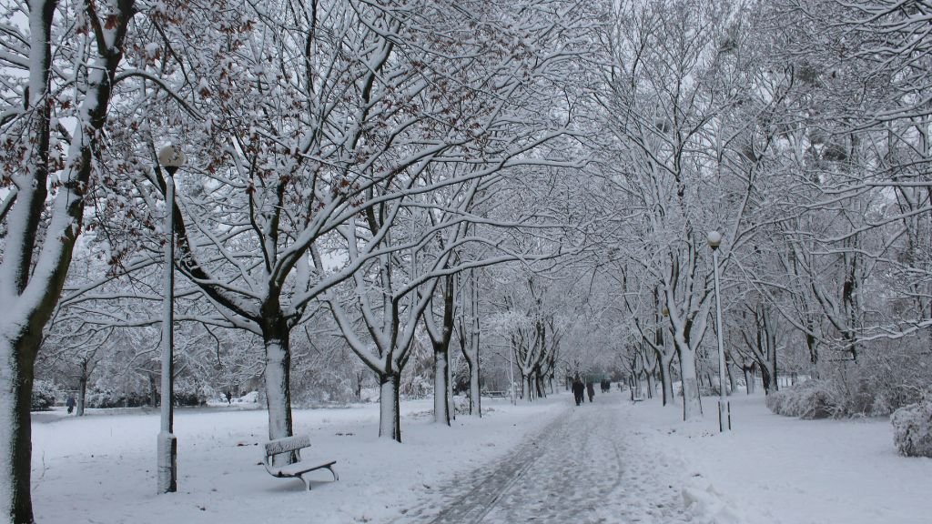 Zimowy krajobraz w Parku Kasprowicza