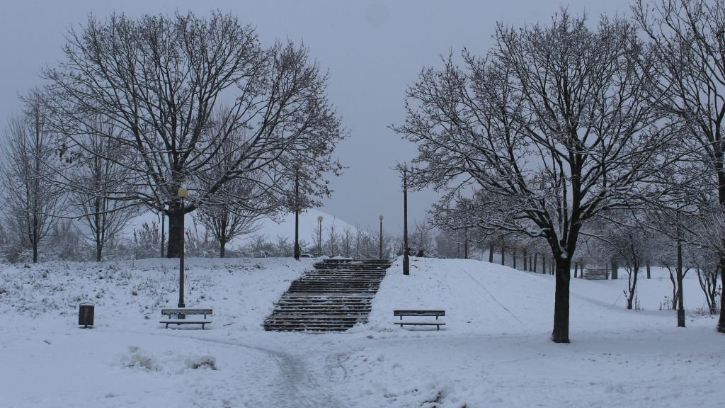 Park Kasprowicza zimą