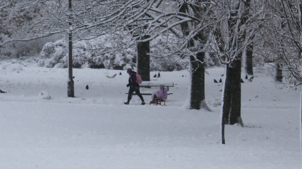 Jak zawsze po opadach śniegu, do Parku Kasprowicza przybywają miłośnicy zjazdów na sankach
