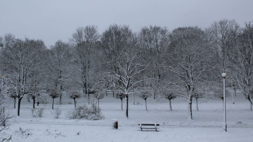 Zima w Parku Kasprowicza