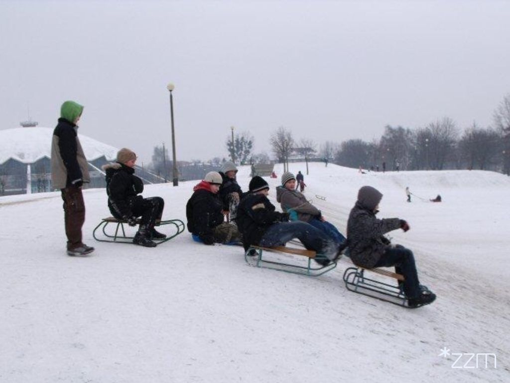 Dzieci zjeżdżające na sankach w Parku Kasprowicza - grafika artykułu