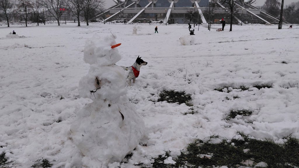 Baławan z marchewką w Parku Kasprowicza