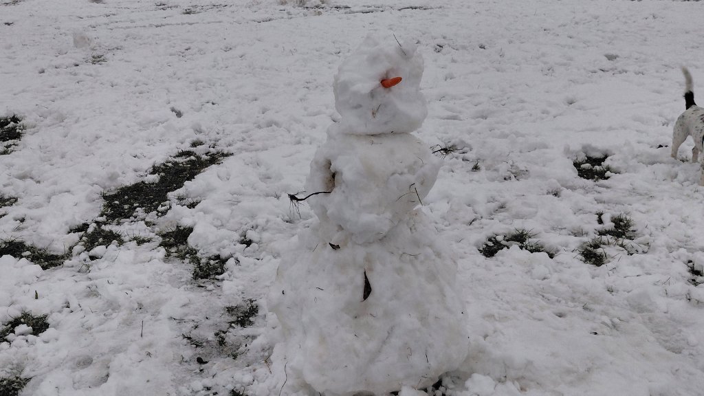 Bałwan z marchewką w Parku Kasprowicza