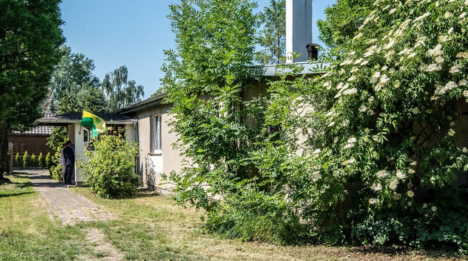 Fot. Miasto Poznań ogródek działkowy, trwa, zieleń średniej wysokości, niski, szary parterowy budynek, na nim flaga w kolorach żółtym i zielonym