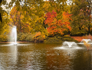 Park Wilsona - zabytek w sercu miasta