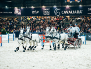 Perlage Cavaliada Tour - sportowe emocje wracają do Poznania