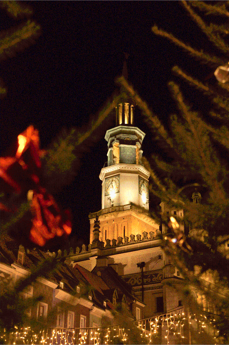 Ratusz otoczony świątecznymi dekoracjami