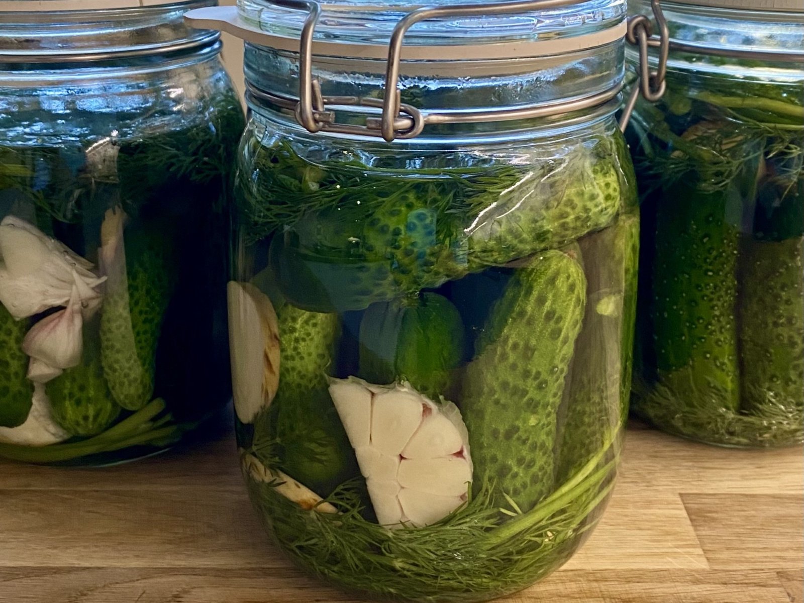 Już po 3 dniach możemy cieszyć się chrupiącymi, lekko ukiszonymi ogórkami, fot. AL Słoiki wypełnione kiszonymi ogórkami, z koperkiem, czosnkiem i kawałkiem chrzanu.