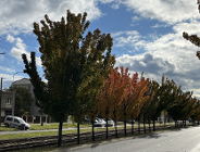 System ochrony powietrza w Polsce