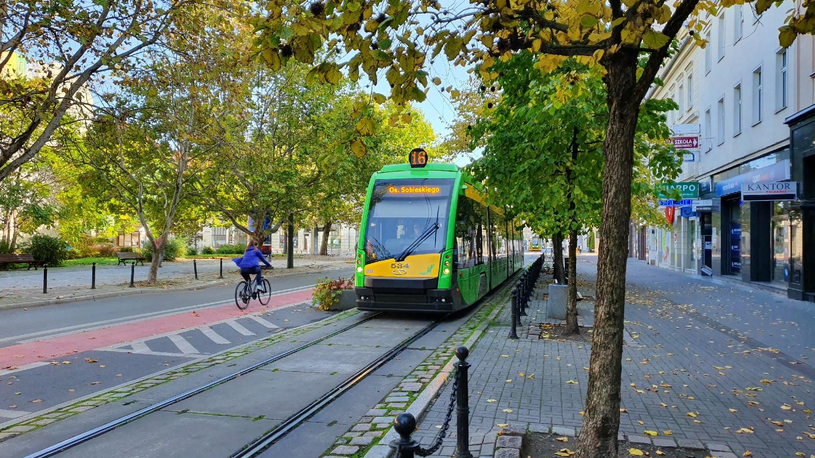 Tramwaj i rowerzystka na zadrzewionej ul. 27 grudnia - grafika artykułu
