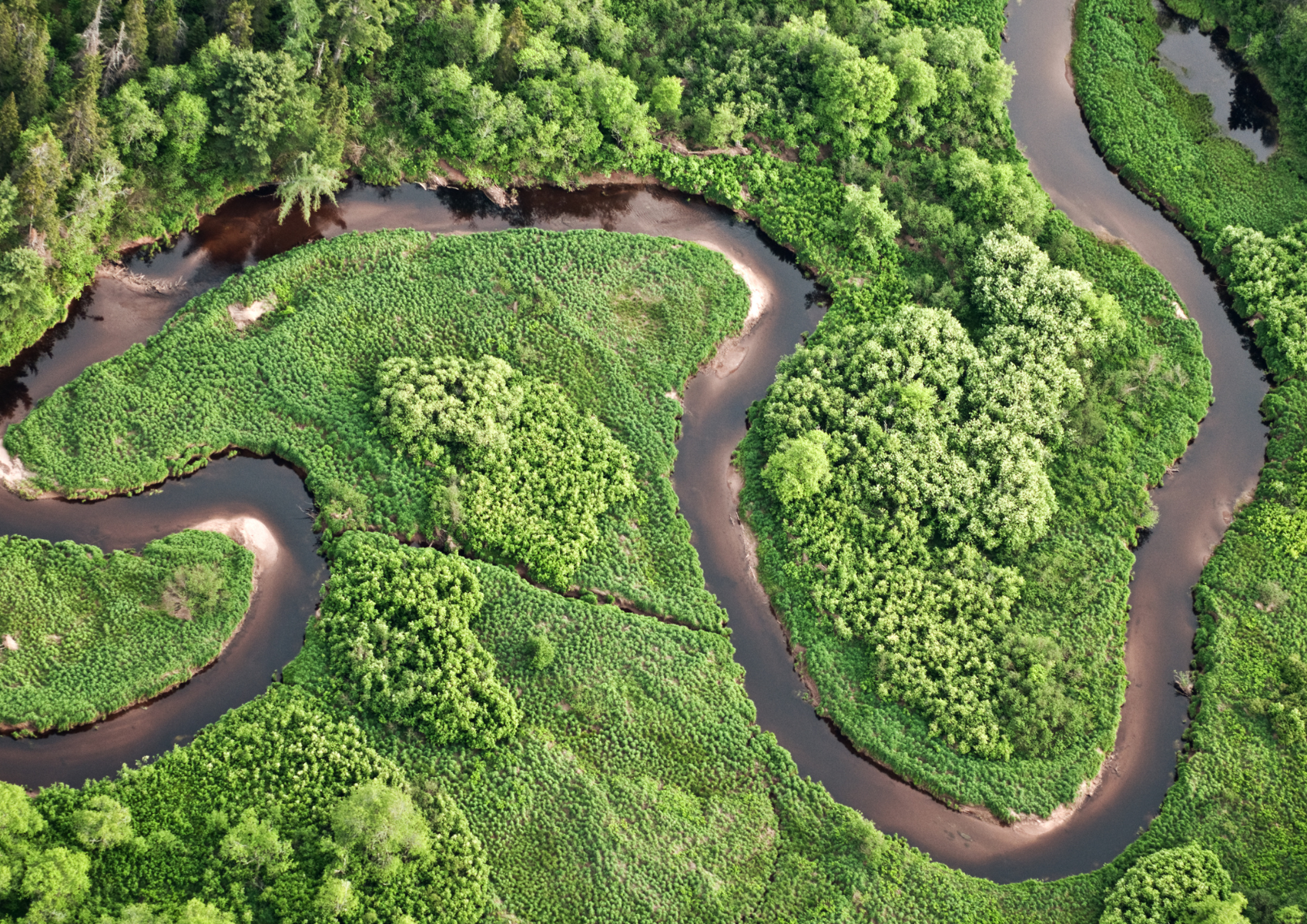 Widok z "lotu ptaka" powietrza na zielony las oraz krętą rzekę i małe jeziorko.