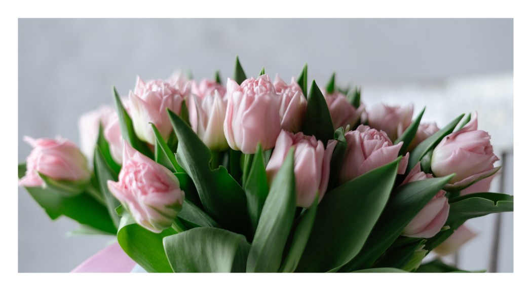 Dzień Edukacji Narodowej z prawej strony napis Życzenia z okazji Dnia Edukacji Narodowej, z prawej bukiet fioletowych kwiatów