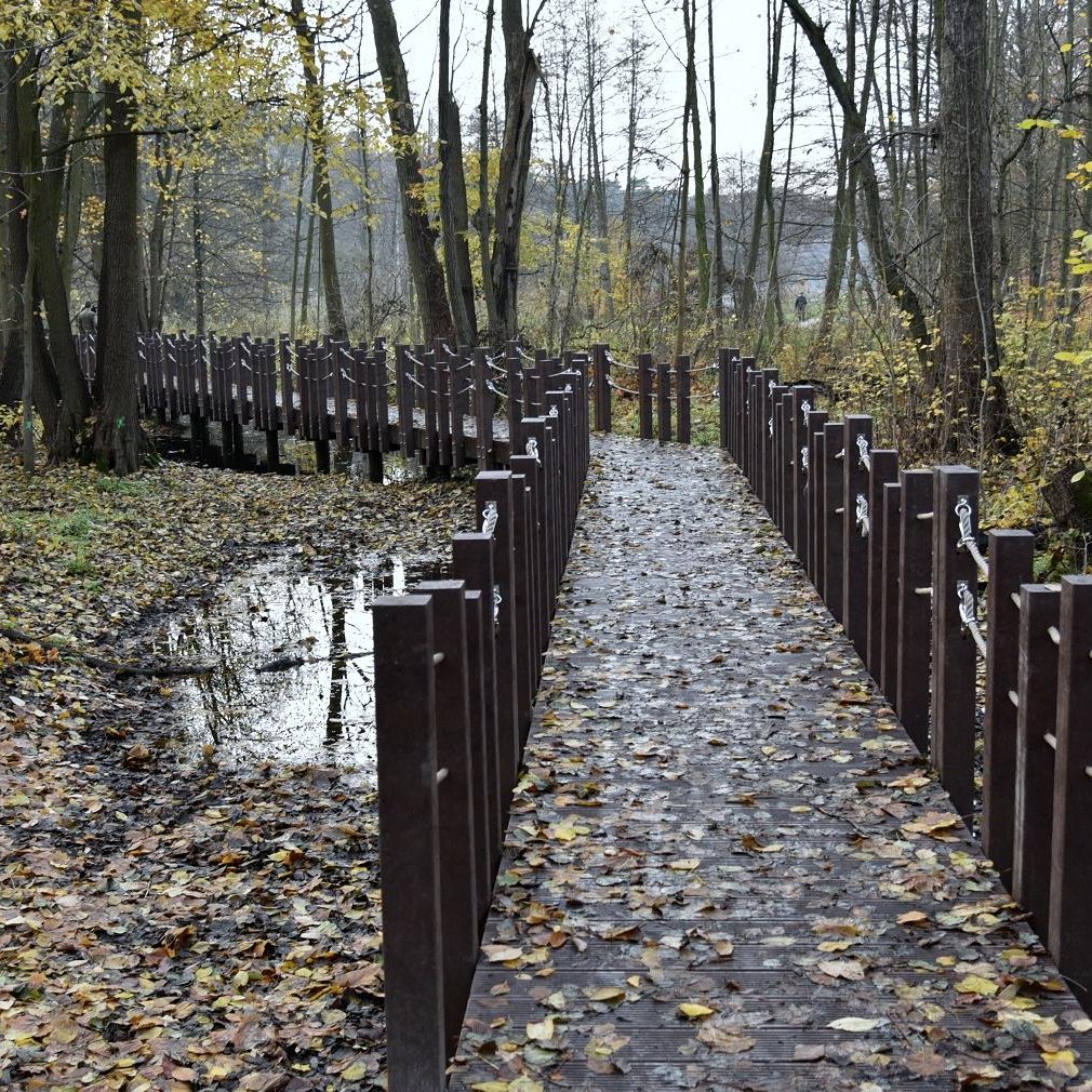 Zakaz wchodzenia do lasów