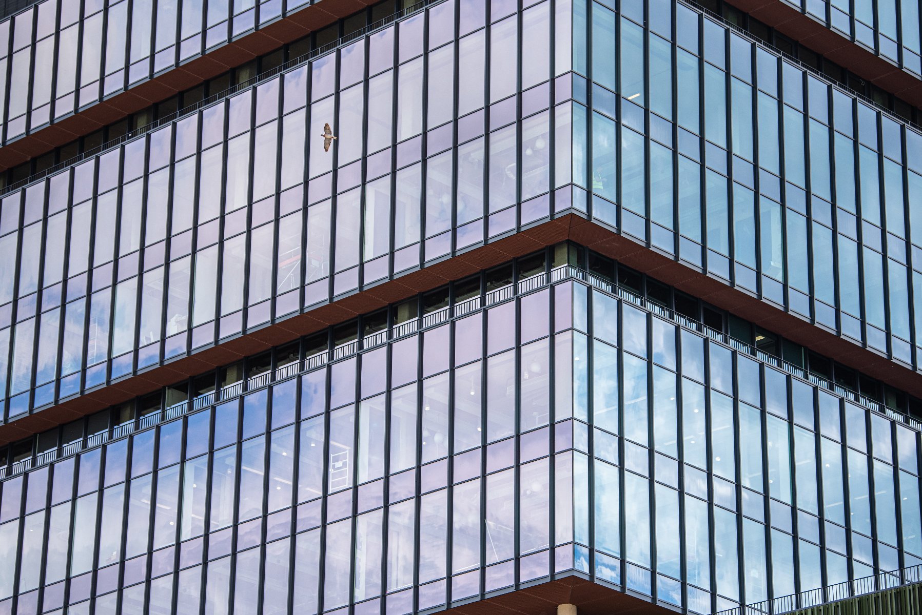 Zdjęcie przedstawia narożnik nowoczesnego szklanego biurowca o regularnej strukturze pionowych podziałów okiennych, w których odbijają się błękitne niebo i jasne chmury. Poszczególne kondygnacje są oddzielone od siebie wąskimi, ciemnymi pasami elewacji, a na jednej z dużych tafli szkła po lewej stronie uchwycono sylwetkę lecącego ptaka.