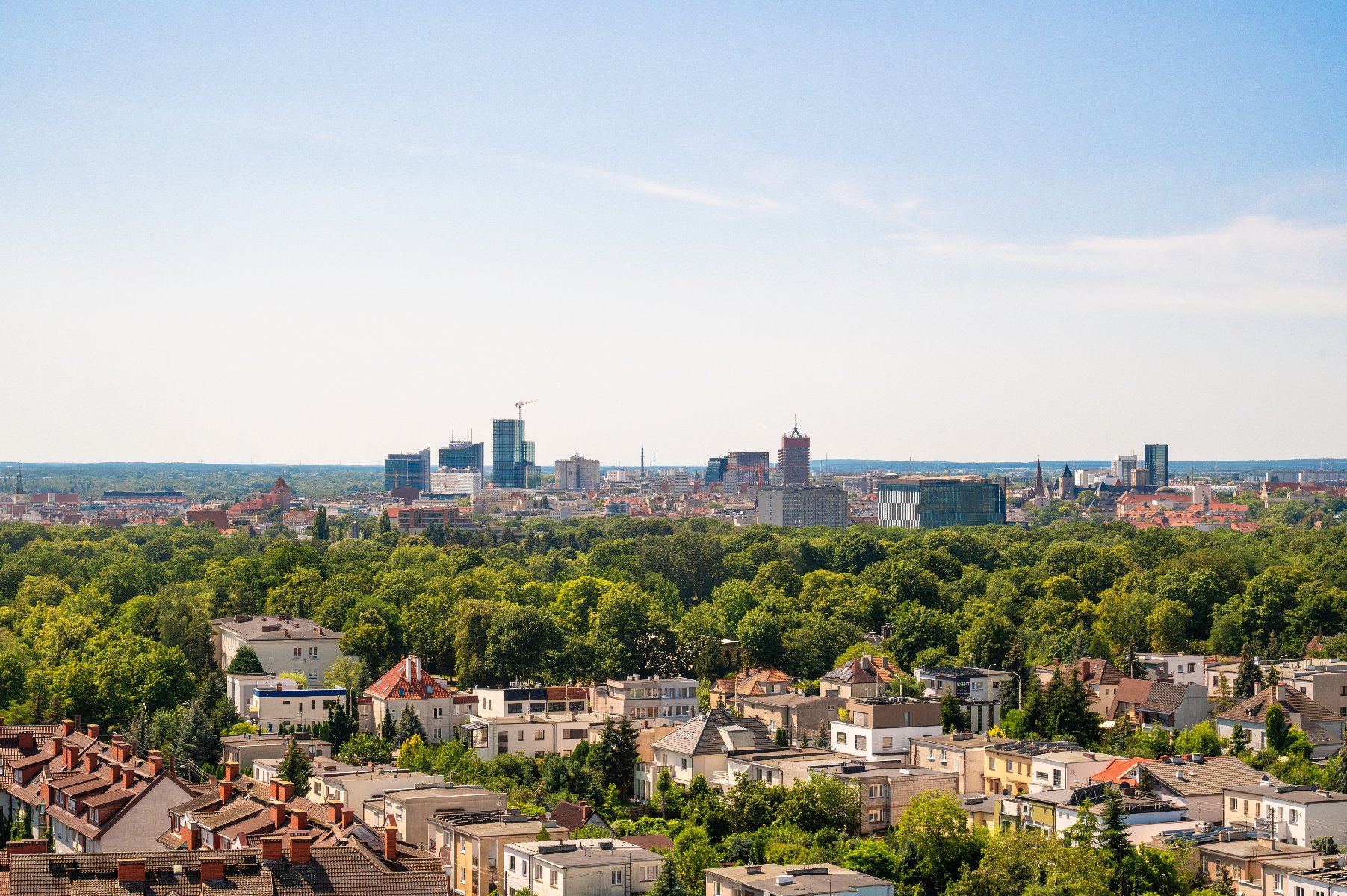 Zdjęcie przedstawia szeroką panoramę Poznania, ukazaną z wysokiego punktu obserwacyjnego, gdzie na pierwszym planie dominują dachy niskiej zabudowy mieszkalnej otoczonej gęstą, soczystą zielenią drzew.