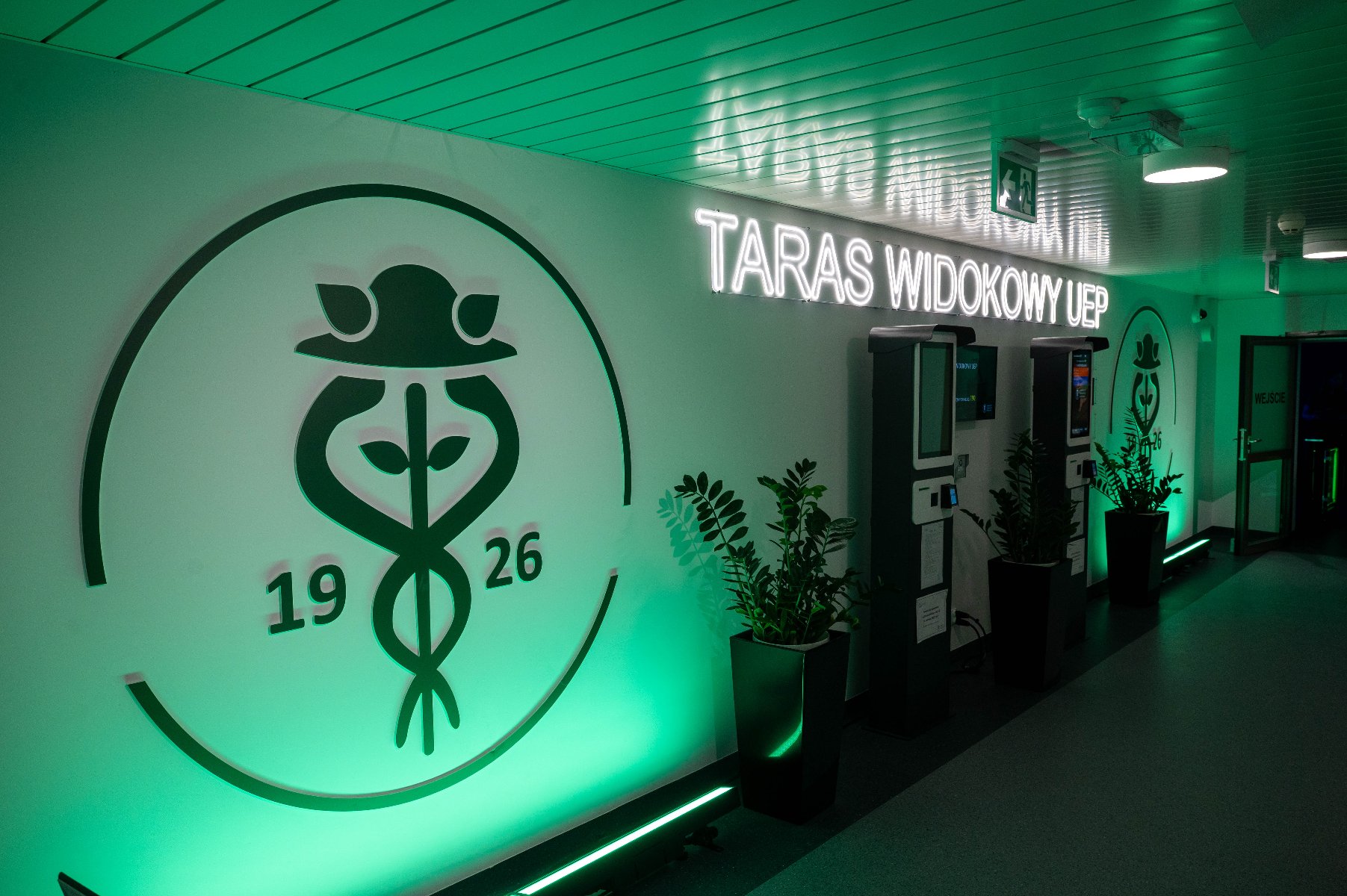 Taras widokowy na 18. piętrze Collegium Altum oficjalnie otwarto 11 czerwca Zielony neonowy napis "TARAS WIDOKOWY UEP" na białej ścianie. Po lewej stronie duży, zielony emblemat z napisem "1926". Obok dwa doniczkowe rośliny.