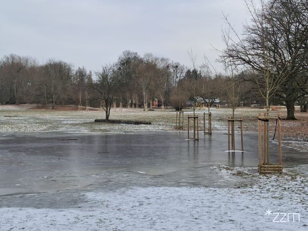 Zima w Parku Cytadela