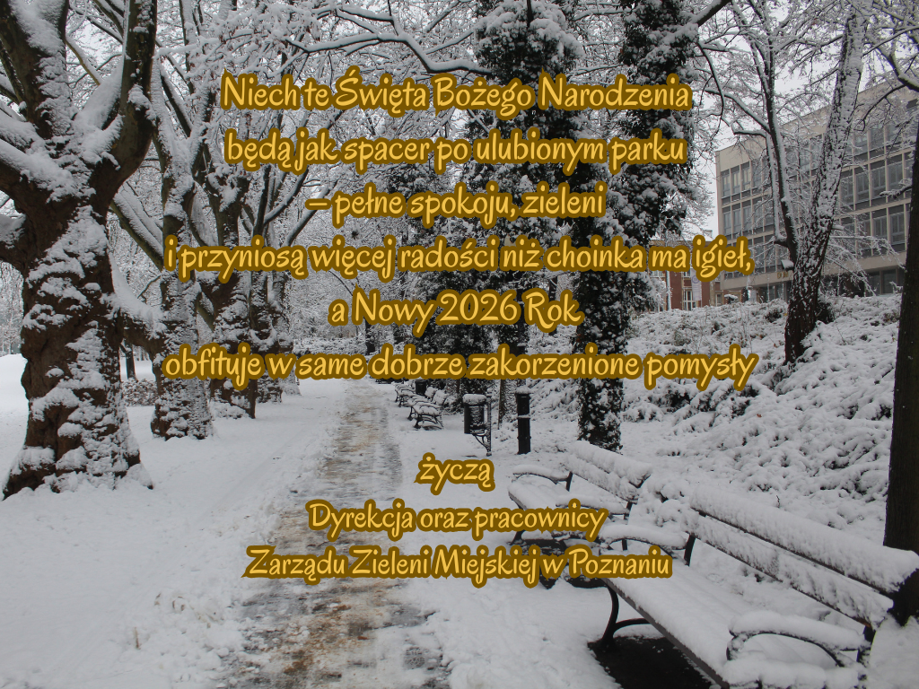 życzenia świąteczne