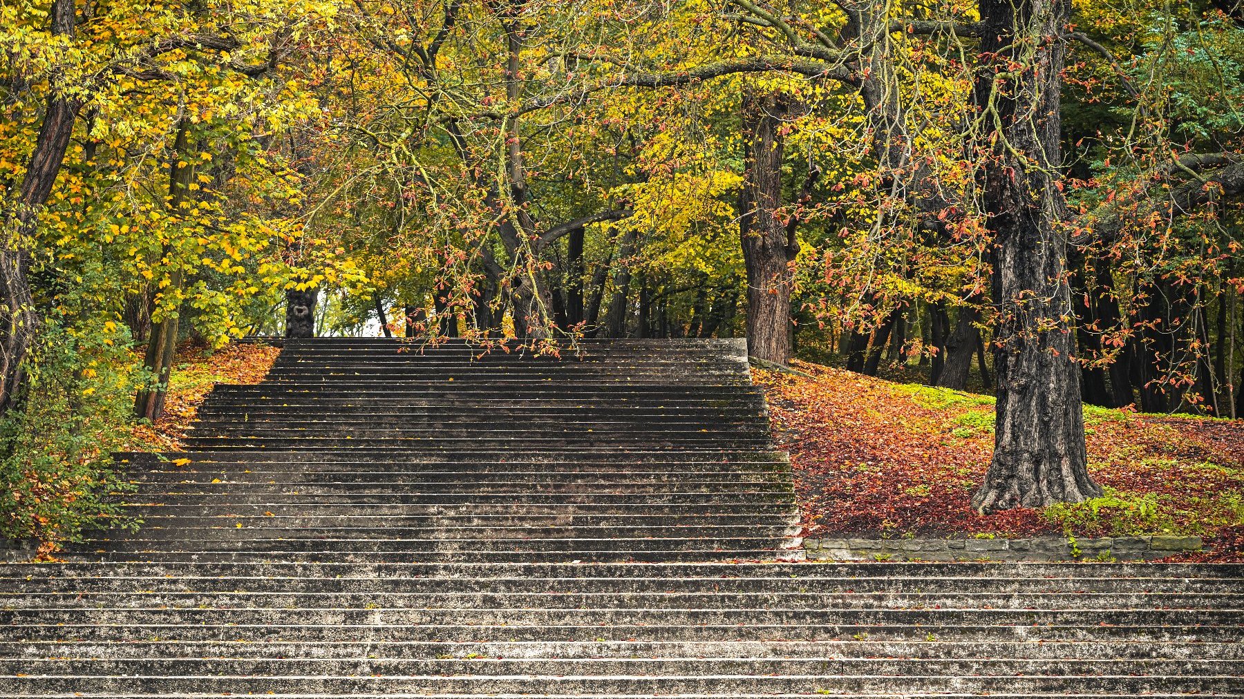 Цитадель приваблює жителів Познані та туристів, також восени, коли набуває золотистого кольору.