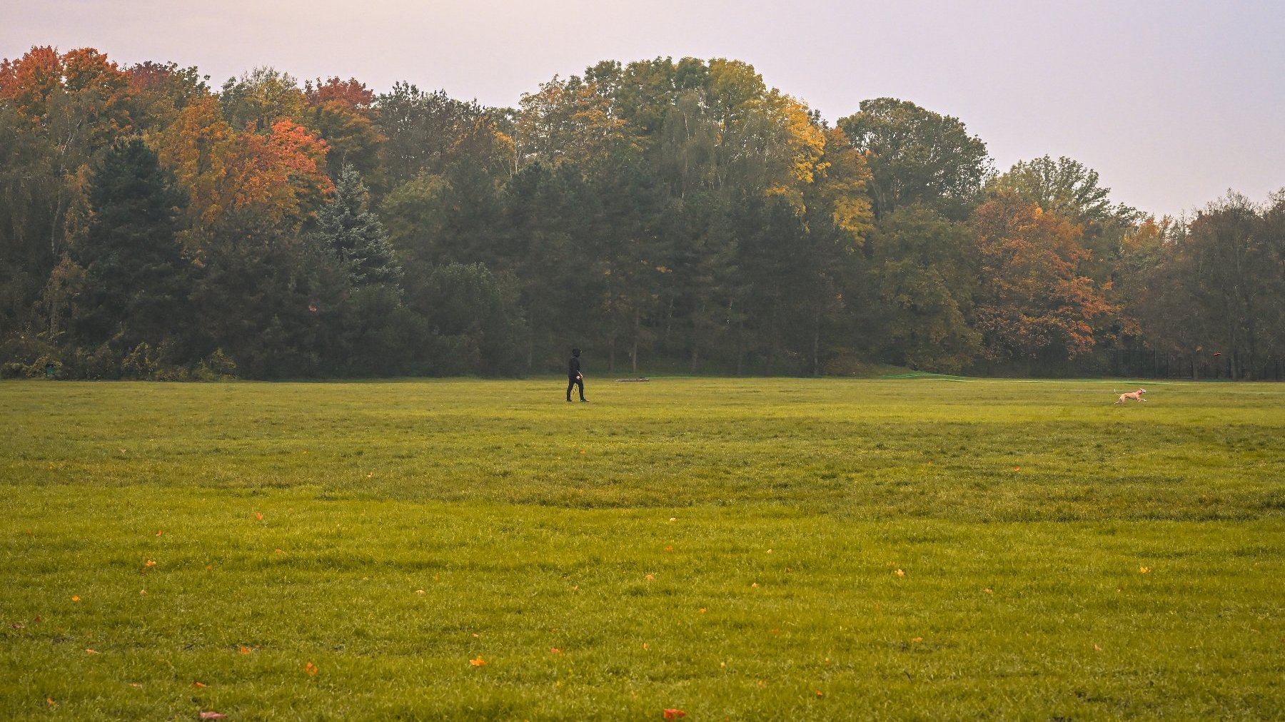 Цитадель приваблює жителів Познані та туристів, також восени, коли набуває золотистого кольору.