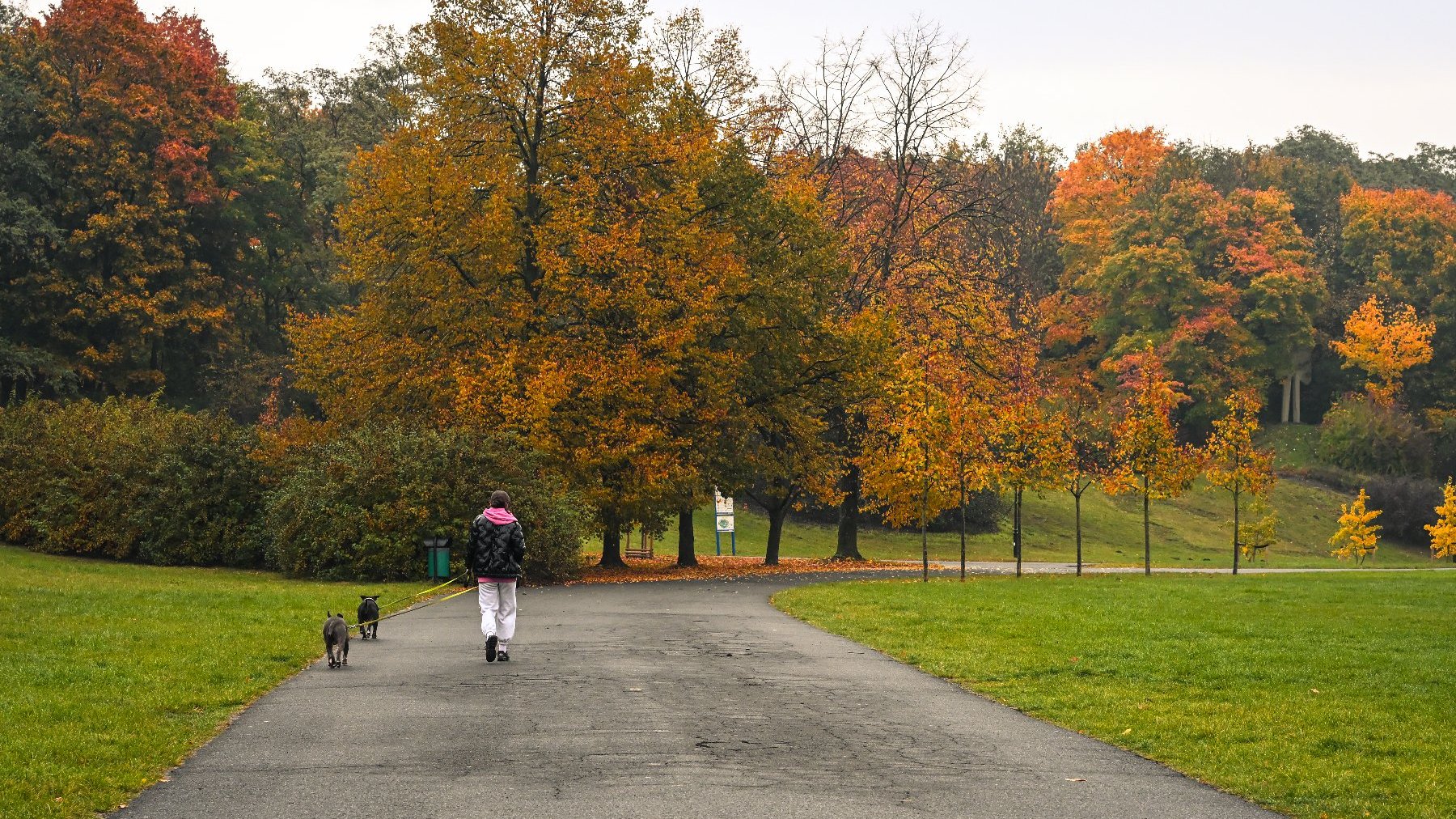 Цитадель приваблює жителів Познані та туристів, також восени, коли набуває золотистого кольору.