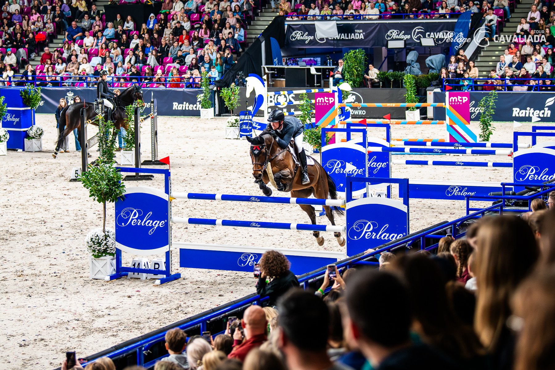 Jeździec na koniu skaczący przez przeszkodę