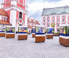 Na zdjęciu widać wystawę poświęconą turniejowi tenisowemu Poznań Open rozstawioną na dziedzińcu Urzędu Miasta Poznania przy placu Kolegiackim