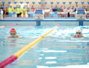 Pływacka reprezentacja Polski trenuje w Poznaniu przed ME w Lublinie