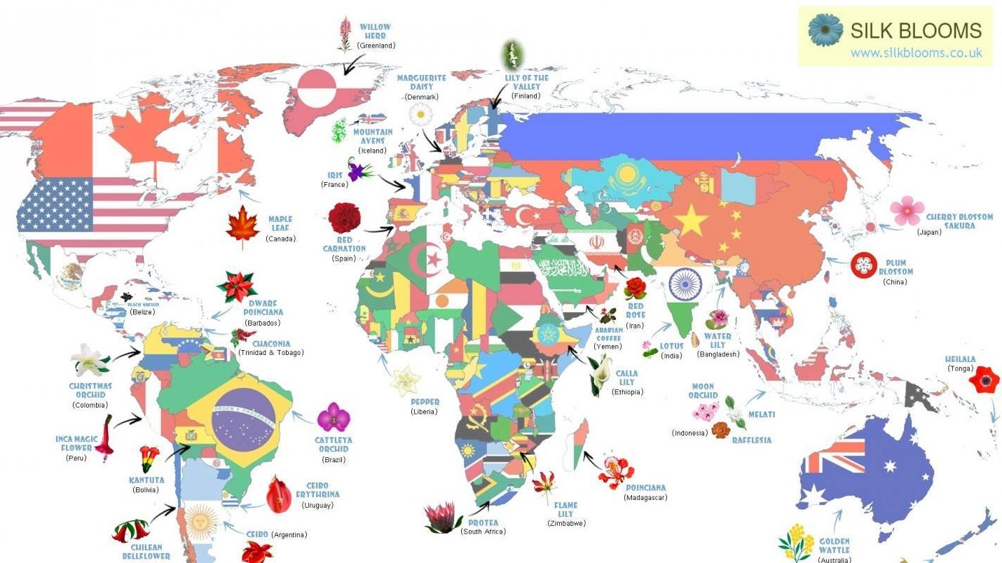 International Picnic