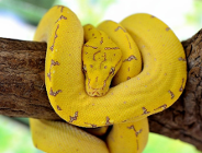 Dni Zwierząt Egzotycznych na Uniwersytecie Przyrodniczym