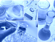 Drugi nabór na Uniwersytecie Medycznym