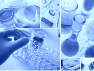 Granty dla młodych naukowców