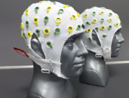 Laboratorium Neuronauki Języka