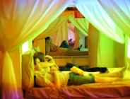 Łóżkoteka w sercu Poznania