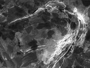 Microstructures - photo album