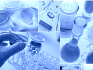 Młodzi naukowcy z pasją