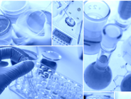 Najlepsi z najlepszych