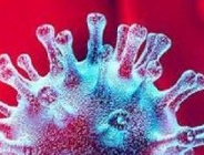 Poznańscy naukowcy opracowali własny test na koronawirusa