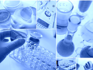 Profesor UAM laureatem Polsko-Amerykańskiej nagrody naukowej