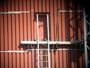 Sokoły Uniwersytetu Ekonomicznego