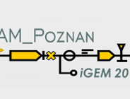 Sukces studentów biologii UAM