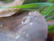 Światowy Dzień Wody