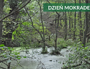 Webinarium z okazji Dnia Mokradeł